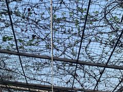 -伊隆斋(什刹海店)