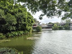 -荔湾湖公园