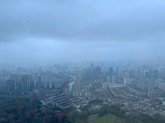 -上海龙之梦万丽酒店