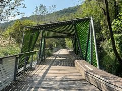 -西湖风景区-江洋畈生态公园