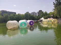 -莲湖公园