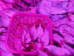 -珠光市场(文德南路)