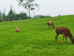-良渚古城遗址公园