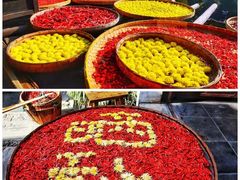 -婺源风景区
