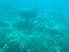 -亚龙湾海底世界