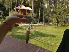 -福建鲤鱼洲酒店