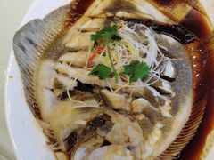 清蒸多宝鱼-新洪记·丽久饭店(铁西店)