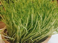 -洪氏嗨捞·猪肚鸡火锅(阳光天地店)