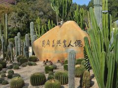 -深圳仙湖植物园