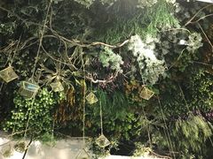 -潮粥荟·潮汕砂锅粥(朝阳大悦城店)