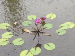 iphone_upload_pic-三亚亚龙湾铂尔曼别墅度假酒店