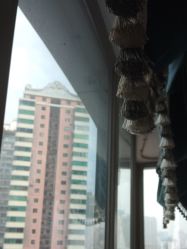 -莲姿娜·半永久纹眉皮肤管理