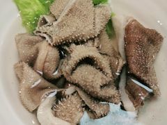 鲜脆毛肚-阳坊胜利涮羊肉(阳坊老店)