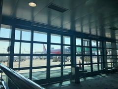 -中免(澳门机场免税店)