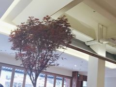 -春家·非遗手工小吃(徐汇万科广场店)