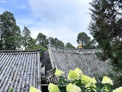 -寂照庵