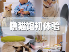 -COLOR PETS 撸猫馆·购猫·猫咖(长风大悦城店)