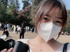 -南宁良凤江国家森林公园