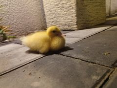 -潇湘·永州会馆(百子湾店)