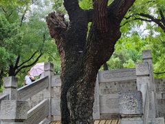 -千佛山风景名胜区