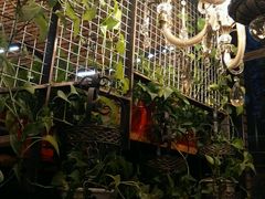 室内景观-D STAR COFFEE帝星咖啡