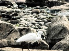 -和顺古镇