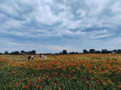 -汉长安城未央宫国家考古遗址公园