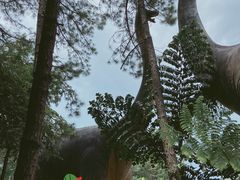 -森波拉奇妙世界