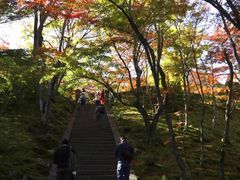 -常寂光寺