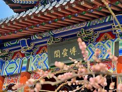 -梅花山(明孝陵内)