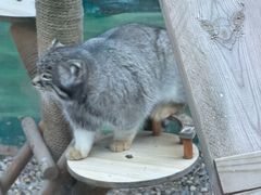 -青藏高原野生动物园