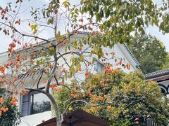 -壹笑茶庄·农家菜土菜杭帮菜