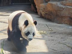 -宁波野生动物园