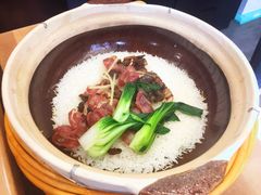 -旺小胖小龙虾