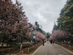 -花溪公园