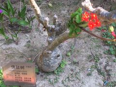 -广州神农草堂中医药博物馆