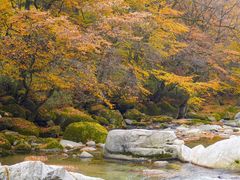 -光雾山旅游景区