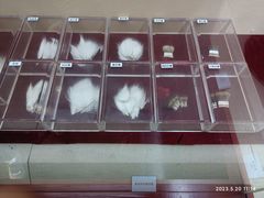 -中国湖笔博物馆(莲花庄路)