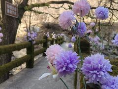 -少华山国家森林公园