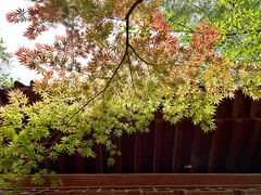 -济南国际园博园