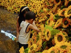 -东浩兰生上海世博展览馆