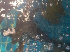 -一江春水·杭帮臻宴(三台山店)