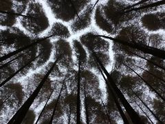 -山王坪喀斯特国家生态公园