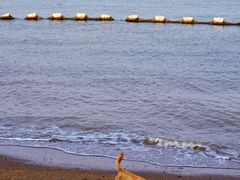 -滨海公园