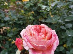 -人民公园(罗湖区)