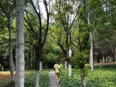 -长春世界雕塑园冰雪艺术天地