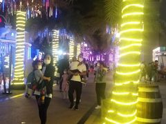 -三亚海昌梦幻海洋不夜城