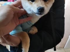 -宠颐生中康贝怡动物医院