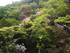 -梧桐山风景名胜区