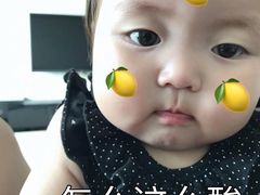 -戊辰亲子游泳俱乐部